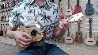 Bondi Spalted Maple Concert Ukulele - Sound Demo