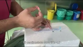 PCNL training for begginers part 2