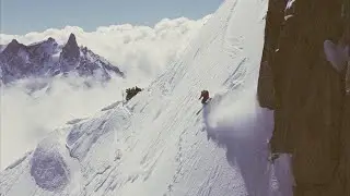 L'oiseau rare