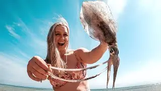GIANT SQUID FISHING! Catch n Cook (Shorehawk Giveaway)