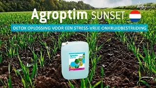 NL | Agroptim SUNSET: detox oplossing voor een onkruidbestrijding zonder stress