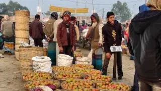 Hat Bazar is live! সাতপাকিয়া ফেরিঘাট বাজার, শেরপুর সদর, শেরপুর