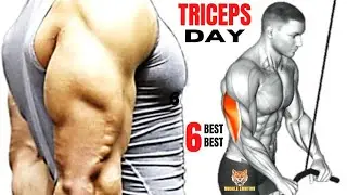 Home biceps and triceps workout 🔥 #shorts #live #fitness #triceps#viral #live with Pawan fitness 🦍