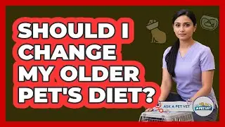 Should I Change My Older Pet's Diet?