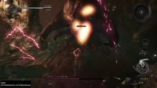 Nioh Level 1 No Damage Taken Challenge Boss #5 - Great Centipede