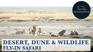 Desert, Dune & Wildlife Fly-in Safari | Flying Safaris | Namibia Safari | Covid-19 Safe | Safarihub