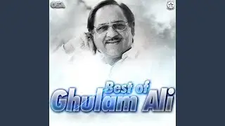 Main Ne Lakhon Ke Bol Sahe (Live)