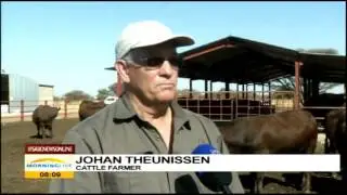 Red meat prices expected to rise