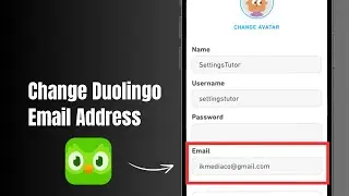 How to Change Duolingo Email Address? 