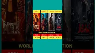 Pushpa 2 🆚 Marco 🆚 Max 🆚 Baby John Movie Box Office Collection Comparison #shorts #pushpa2 #marco