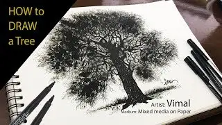 How to draw a Tree / Pen & Acrylic on Paper / dry brush / Line drawing