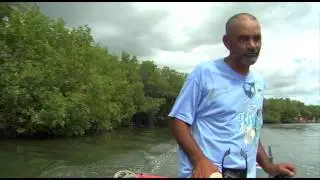 Érase Una Vez en Puerto Rico - Cortos 004 - El Pescador de Cabo Rojo