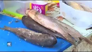 Comida tradicional egipcia para el d&iacute;a Sham El Nessim