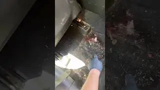 Worst detail we have ever done!