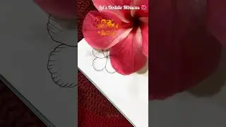 Day-63 | Simple flower doddle Video 🌺🌿 #hibiscus #drawing Karuza | কারুজা