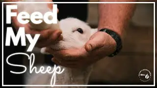 Sunday 1st February 2026 | 10:30AM | Feed My Sheep