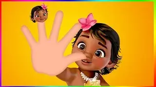Moana Finger Family song | Moana daddy finger song for kids Moana Maui