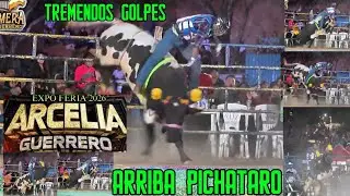 💥SE LE VIO EN MALAS CONDICIONES💥 TESORITO y ARRIBA PICHATARO Rancho La Cueramera En Arcelia,Gro.2026