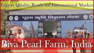 Biva Pearl Farm at Pusa Krishi Vigyan Mela 2023 Pusa, Delhi, India