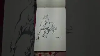 Horse #drawing