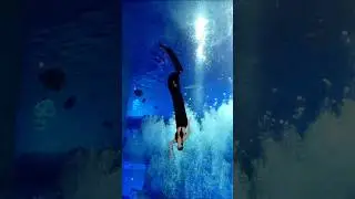 Black Snake 🐍 Mermaid Show in Guangzhou, China 🇨🇳
