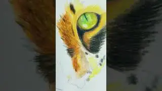 #draw #drawing #painting #tutorial #рисование #рисунок #processvideo #процесс #art #кот #cat