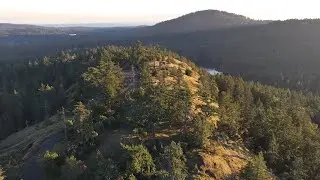 Mount Grant Preserve Drone Footage
