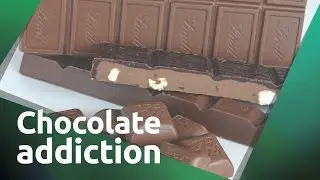 Chocolate Addiction VS. Emotional Intelligence ♢ Trauma Coach