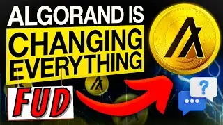 ALGORAND CEO STACI WARDEN FULL INTERVIEW! STOP ALGORAND FUD!