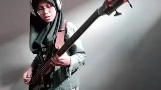 Tame Impala - Apocalypse Dreams (Bass Cover)