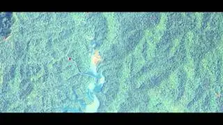 Camera Trap Video - Capture the moment