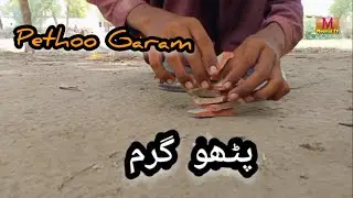 SINDH PUNJAB PETHOO GARAM GAME MOOMAL TV/  پٹھو گرم