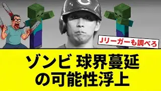 【もうラクーンカープだよ！】逮捕は羽月容疑者に止まらない可能性も…球界蔓延か 同じルートで購入した選手が複数いるとみられ捜査線上には西日本出身選手の名前も【プロ野球反応集】【2chスレ】【なんG】