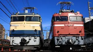 【貴重】EF65 501 & EF81 81　汽笛