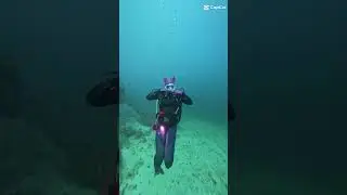 my diving story 2023❤️ #divinglife #scuba #scubaaddict #underwater #scubalove