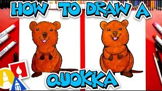How To Draw A Quokka Wallaby