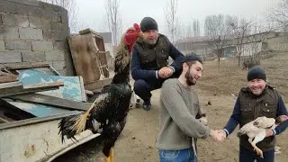 МАНА У́ША БОЗОРДАГИ ПАРВОЗ УЙИГА КИДИРИП БОРДИМ ПАРВОЗЛАР УЧУН МАХСУС ВИДЕО НАМАНГАН 