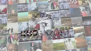 Kush art Multimedia