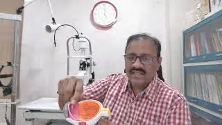 Clear Vision Starts Here | Expert Retina & Eye Care in Vijayawada | Mohan Retina Eye Hospital