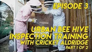 Urban Beekeeping for Beginners - Hive Inspection with Cricket Aldridge - Part1of2