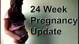 24 Week Pregnancy Update