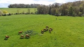 [HD] Parrot Bebop 2 Drone / CAMPAGNE ! Chaumes-en-Brie !