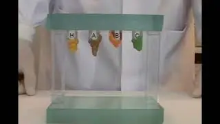 HONIGUM Dripping TEST VS other competetors