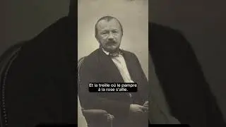 devinez l'auteur et le titre de l'oeuvre en commentaire #litt&eacute;raturefran&ccedil;aise  #viral #viralvideo