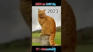 2023 vs 5000 bce cat 🐱 #evolution #biology #myth #shortvideo subscribe for more :-@factsahab313
