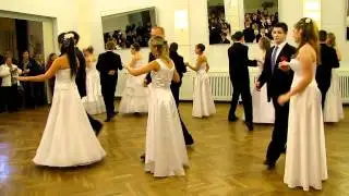 Poloneza 2011