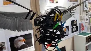 Eagle Framework