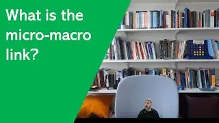 What is the micro-macro link?