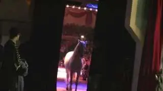 Circus Krone TV - Backstage Impressionen