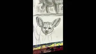 Sketching a Fennec Fox Pt 5 - Practice Drawing Live Stream (Portrait)